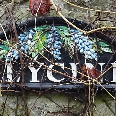 Апартаменты Le Glycine A Manoir Sainte Cecile Juvigny-Val-d'Andaine Экстерьер фото